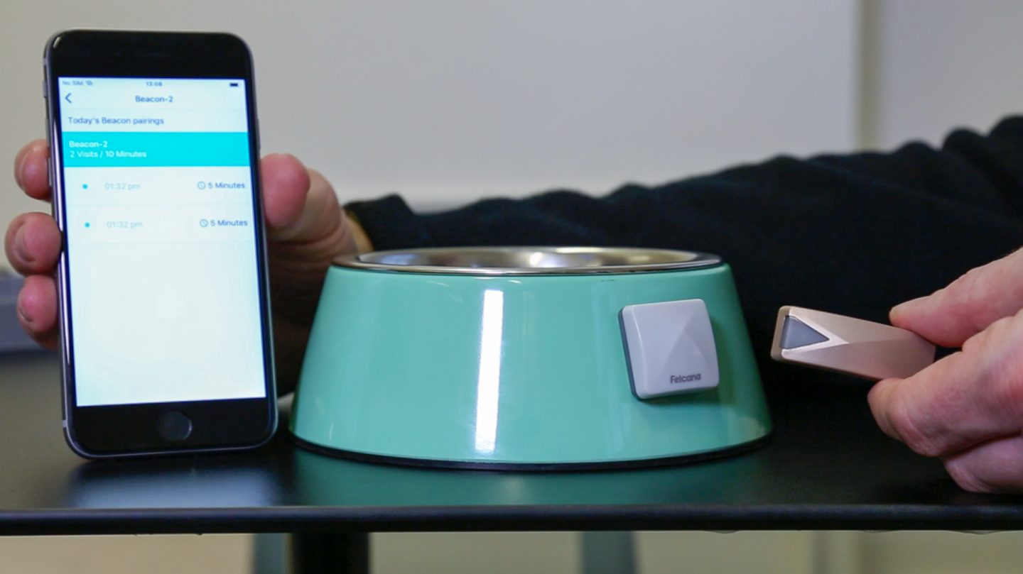 <strong>Felcana:</strong> A smart device for pets that is improving veterinary care