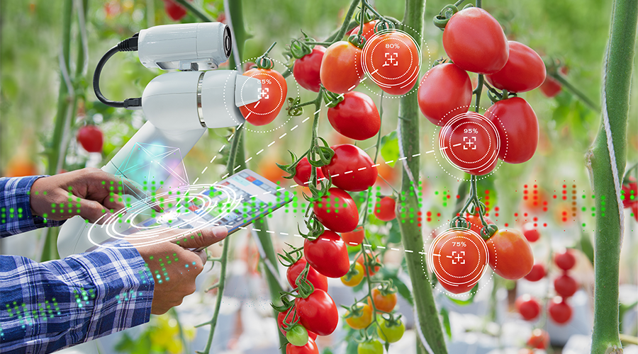 Fast-track your AgriFood innovation with support from our expert team 