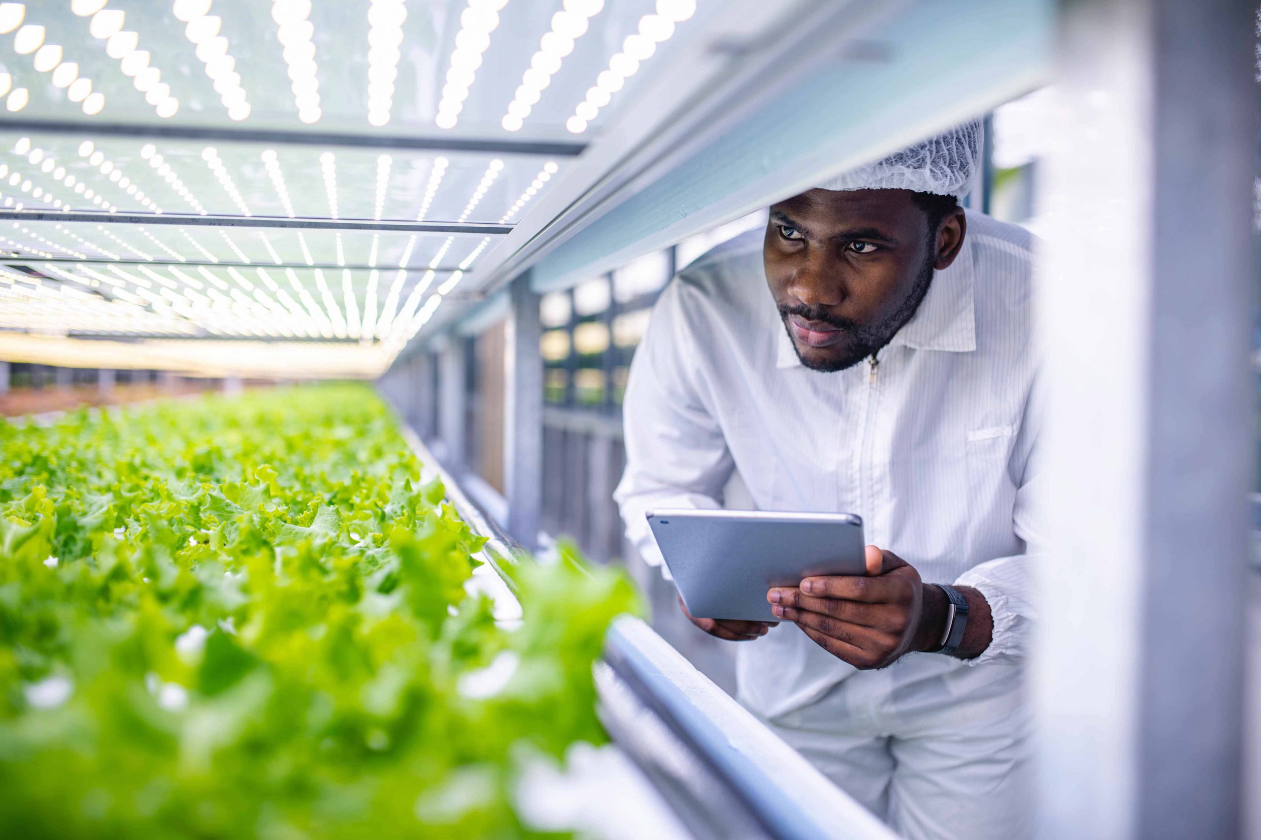 Rapidly Find Innovative Solutions to AgriFood Challenges in Nigeria