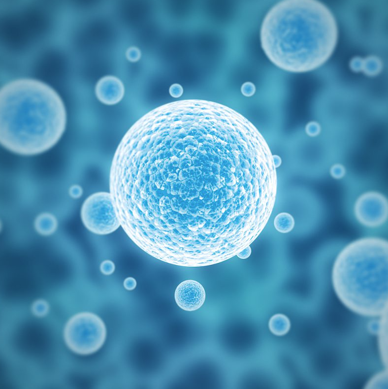 Pluripotent stem cell developments