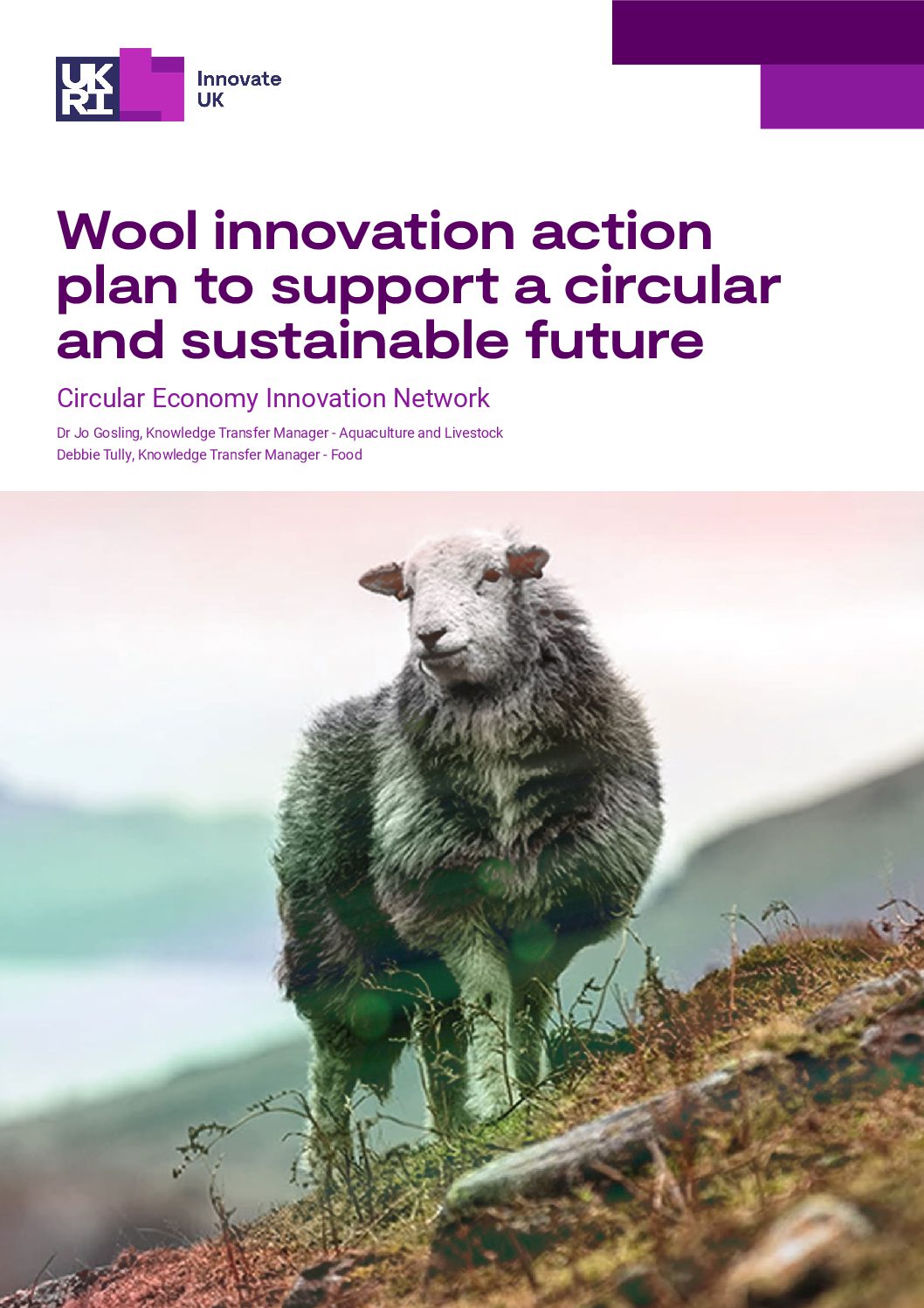 Wool Innovation Action Plan