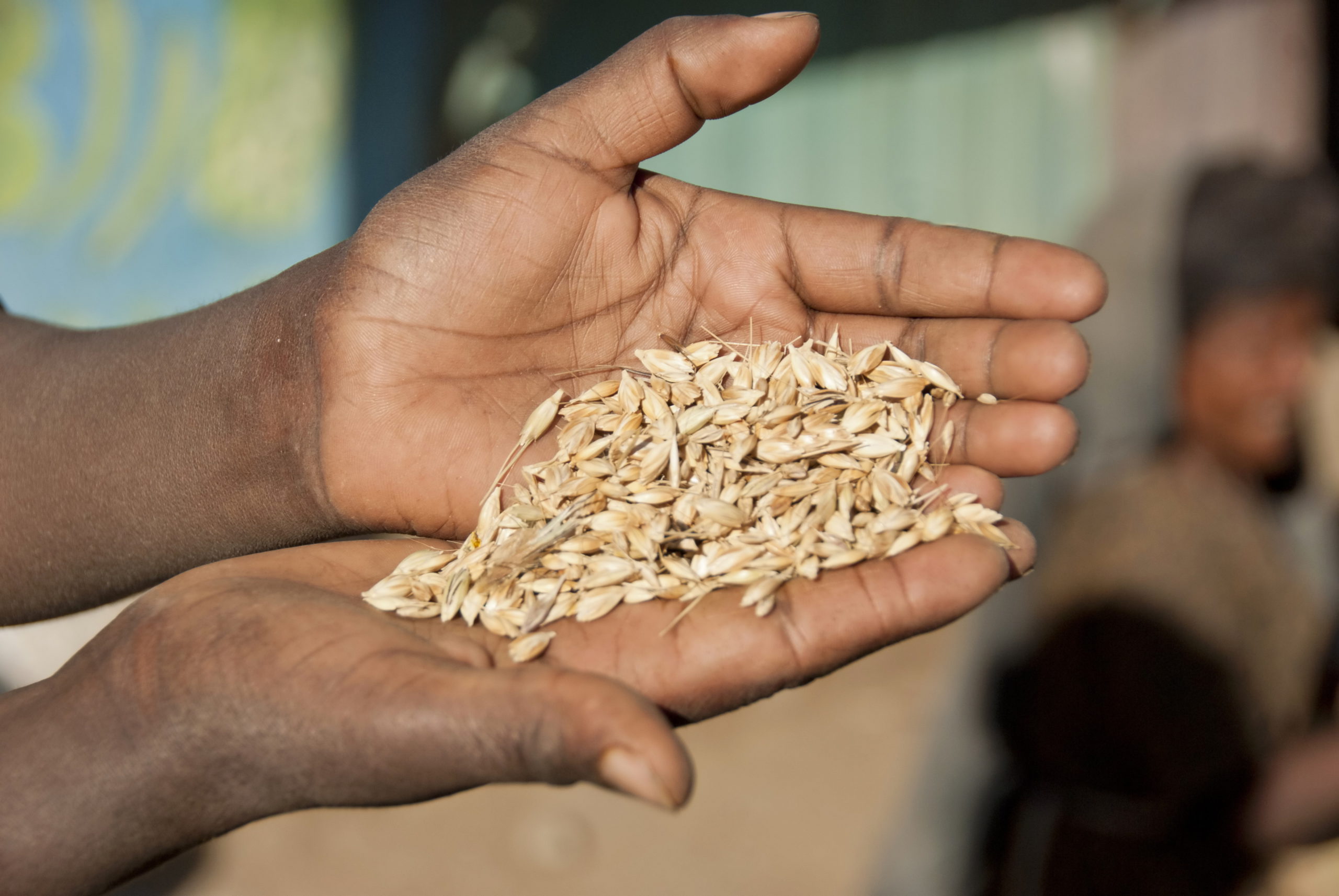 Increasing the development of and access to safe and nutritious food in Africa