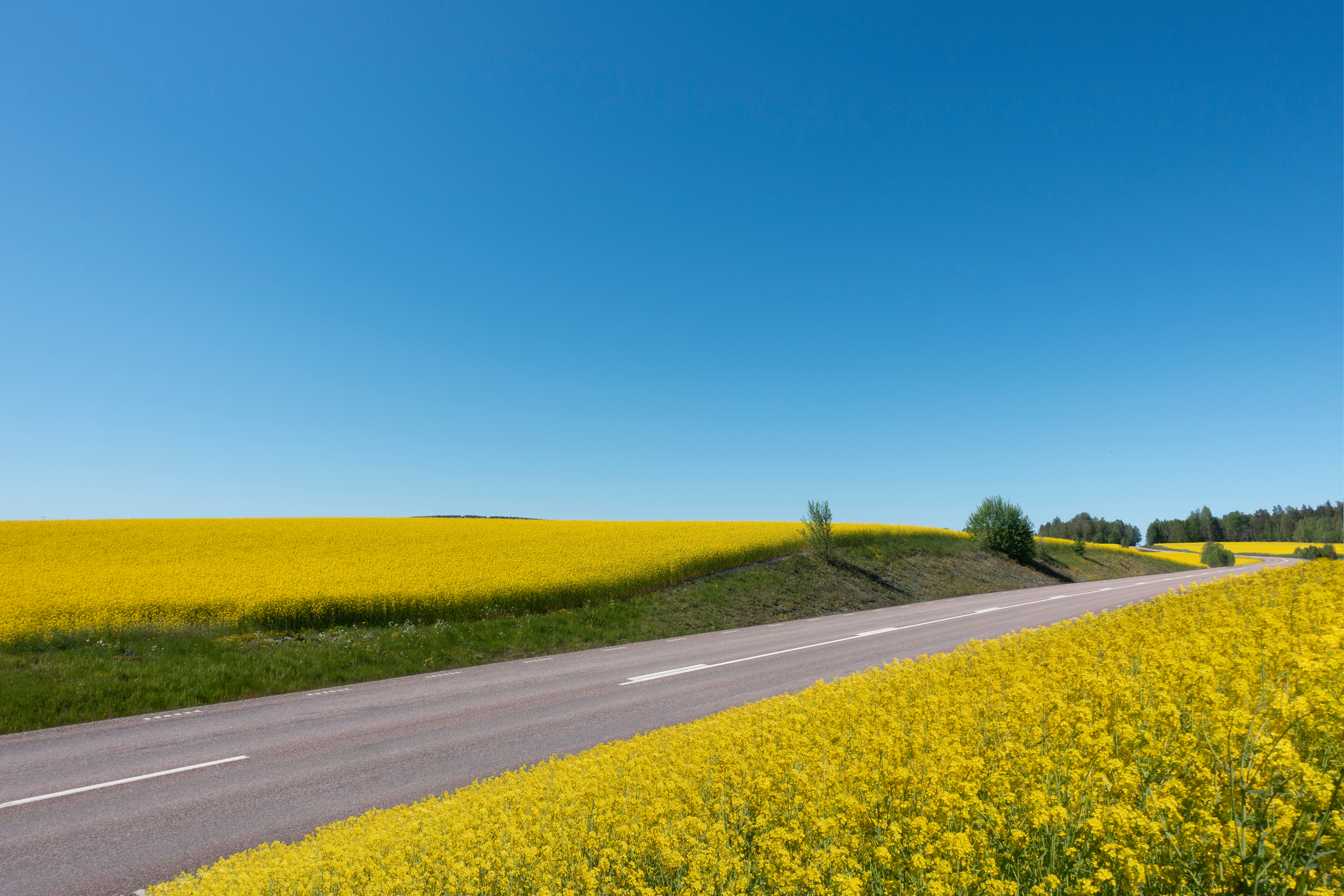 CO2CO: A Greener Future for the Road Construction Industry