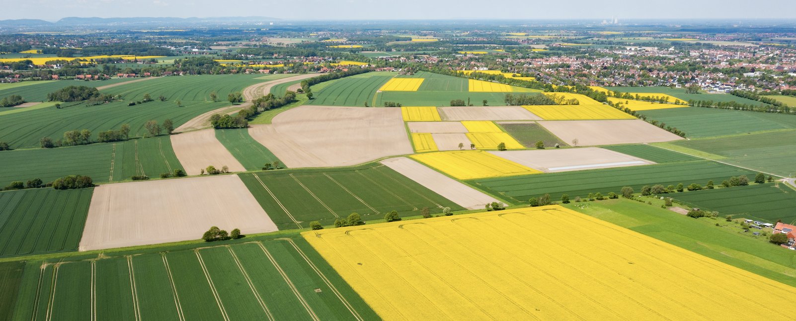 Upcoming Horizon Europe AgriFood funding opportunities - aerial view of a field of sunflowers and rapeseed
