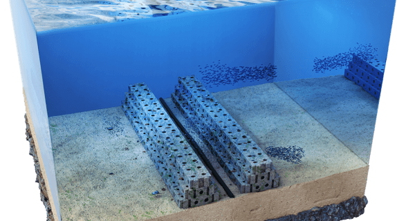 Turning marine constructions into thriving ecosystems